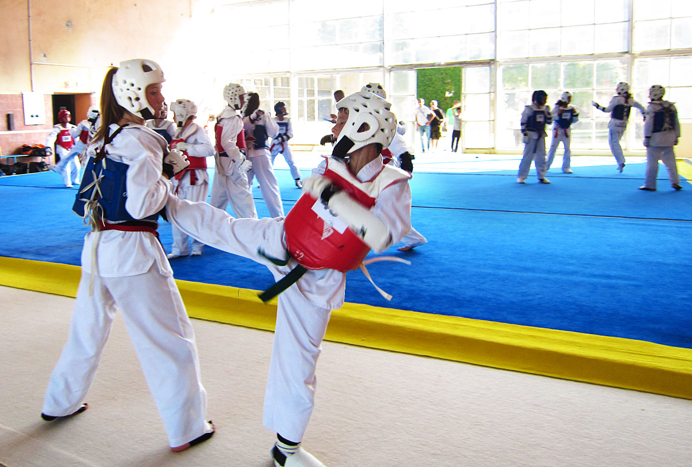taekwondo