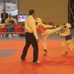 Taekwondo Coupe de France